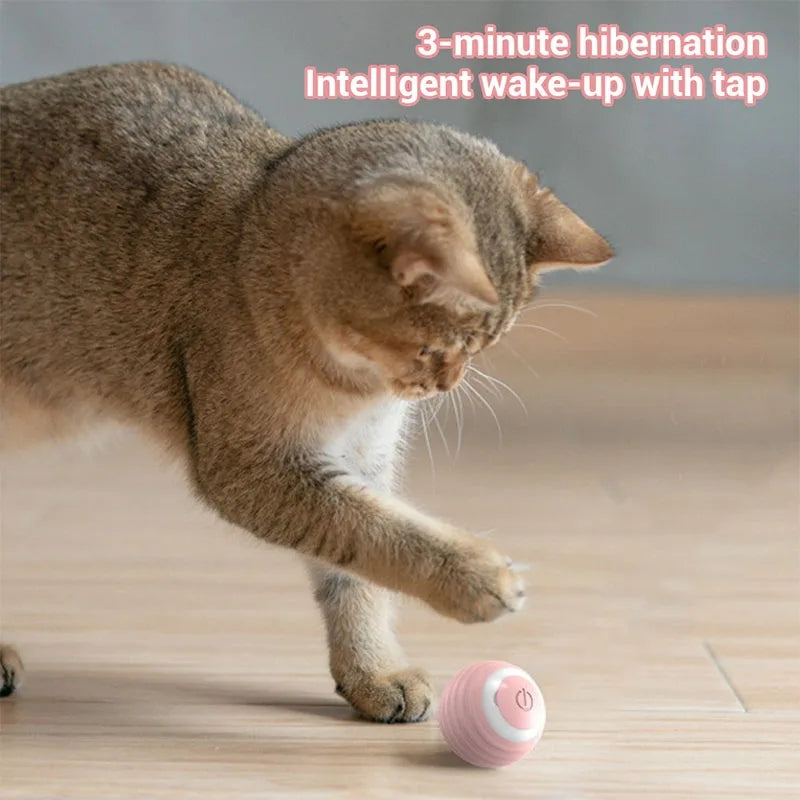 Pelota interactiva recargable para mascotas
