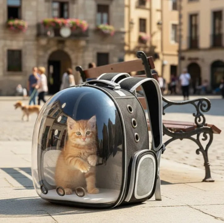 Mochila burbuja negra para gatos y perros