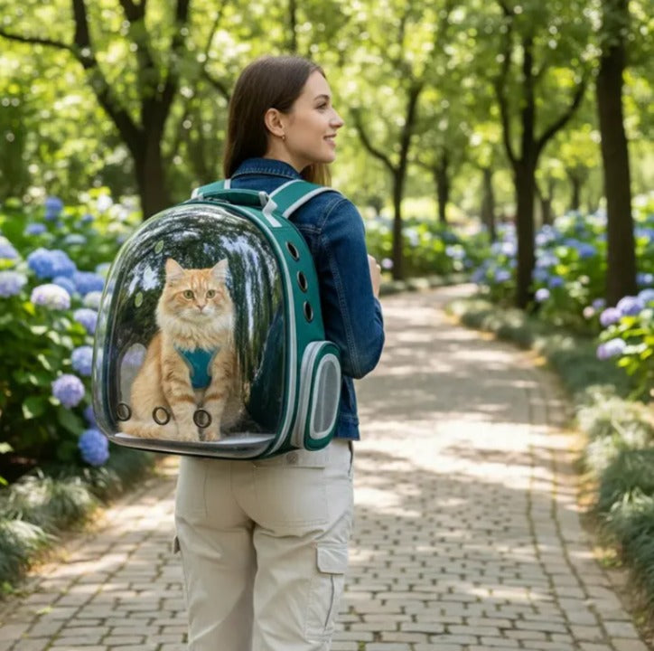 Mochila burbuja verde oscuro para gatos y perros