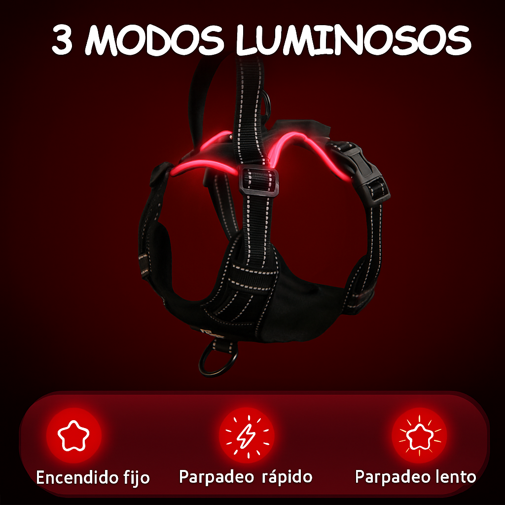 Arnés LED rojo: modos de iluminación
