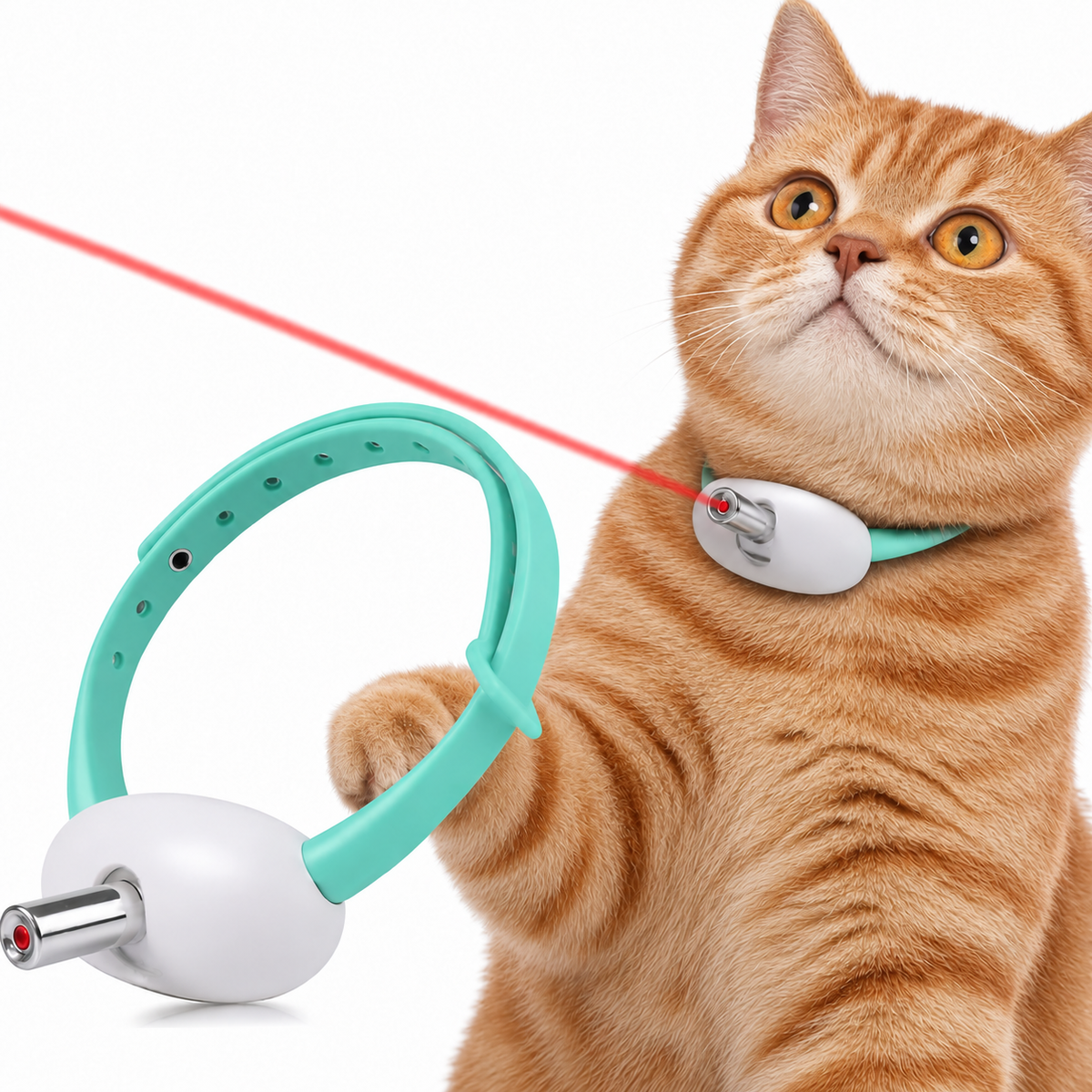 Collar Láser Interactivo para Gatos | Diversión para tu peludo