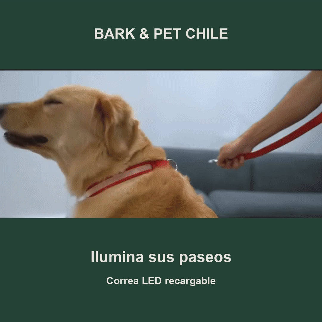 Correa LED — Bark & Pet Chile, voz clara sin precio