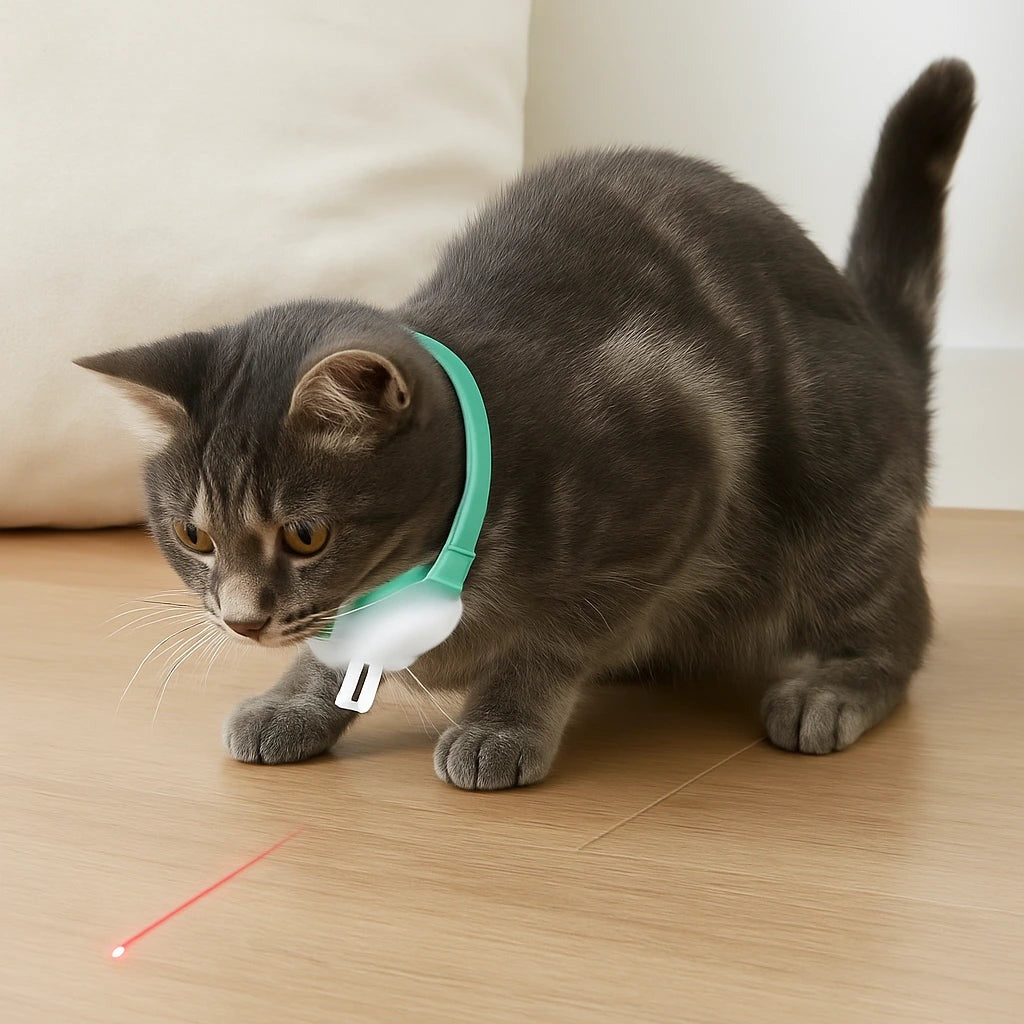 Collar láser interactivo para gatos — Dropi 60941